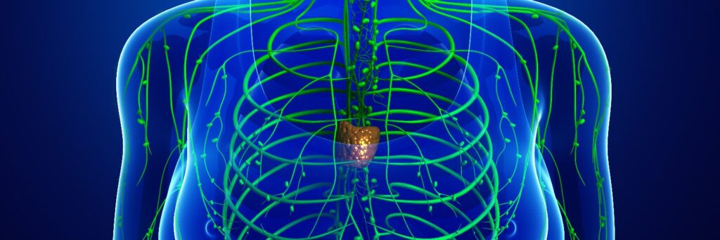 Lymphatic System